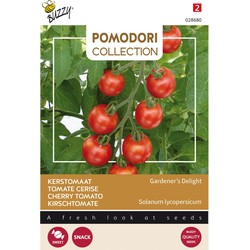 Pomodori Gardeners Delight (Cherry)