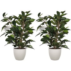 2x stuks groene ficus kunstplant 40 cm met plantenpot taupe D13.5 en H12.5 cm - Kunstplanten