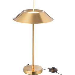 J-line - Lamp Led Metaal Goud - 30.5x30.5x56cm