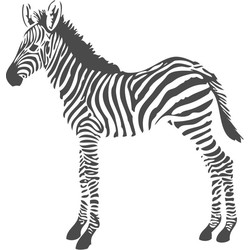 Origin fotobehang zebra's zwart wit