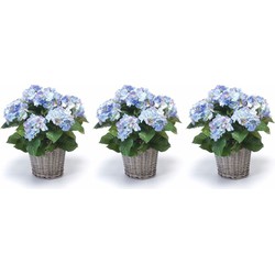 3x Blauwe Hortensia plant in mand 45 cm - Kunstplanten