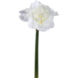 PTMD Kunstbloem Amaryllis - 17x38x75 cm - Kunststof - Wit