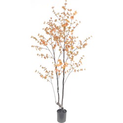 Kunstplant Enkianthus 210 cm peach