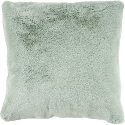 Tapijtenloods Heaven Vacht - Kussen Fluffy - Hoogpolig - Soft Touch Effen - Mint Groen- 48x48 CM