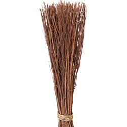 Clayre & Eef Droogbloemen Bruin Droogbloemen