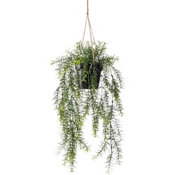 Hangplant met pot 3