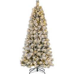 Black Box Kunstkerstboom Quebec - 157x157x365 cm - PVC/Hardnaald - Bevroren Groen - 700LED