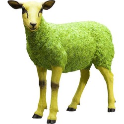 Kare Decofiguur Sheep Colore Green