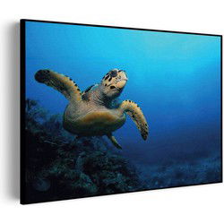 Muurwerken Akoestisch Schilderij - Zeeschildpad In Helderblauw Water 02 - Geluidsdempend Wandpaneel - Wanddecoratie - Geluidsisolatie - BASIC (AW 0.65) S (70x50)