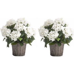 2x Witte Hortensia plant in mand 45 cm - Kunstplanten