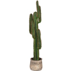 LABEL51 - Kunstplant Cactus - Groen Kunststof