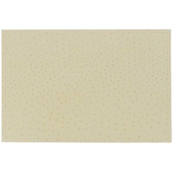 Unique Living | Placemat Triby | Rechthoekig | Polyester | Beige | 30x45cm