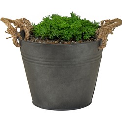 Mega Collections plantenpot/bloempot Old Rope - zink - antraciet - D35 X H25 cm - IJzeren emmer / teil