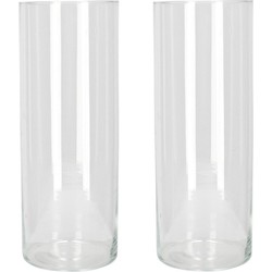 Set van 2x stuks bloemenvaas/vazen van transparant glas 40 x 15 cm - Vazen