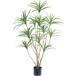 Hoyz Greenery - Kunstplant Dracaena 150 cm