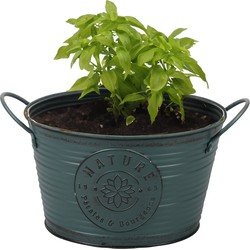 Sunnydays Teil/plantenpot - zink - rond - petrolblauw - D22 x H12 cm - IJzeren emmer / teil