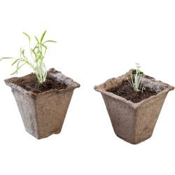 3 stuks - 