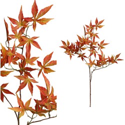 PTMD Leaves Plant Maple Kunsttak - 52 x 45 x 86 cm - Oranje/rood