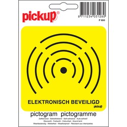 Pictogram 10 x 10 cm - Pickup