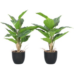 Kopu® 2 stuks Kunstplant Aglaonema 35 cm - 14 bladeren - in zwarte pot