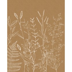 Komar fotobehang Herbs Garden beige - 200 x 250 cm - 611184