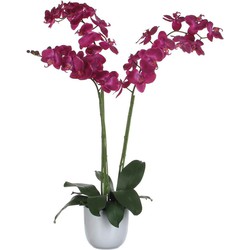 Mica Decorations phalaenopsis paars in pot tusca wit d14,5 - 100x53