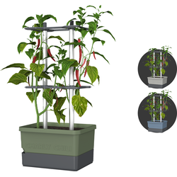 Gusta Garden - Charly Chili - Chiliplanten - Chiliplanter met watertank - Kweekbox - Kweektafel - Donkergroen