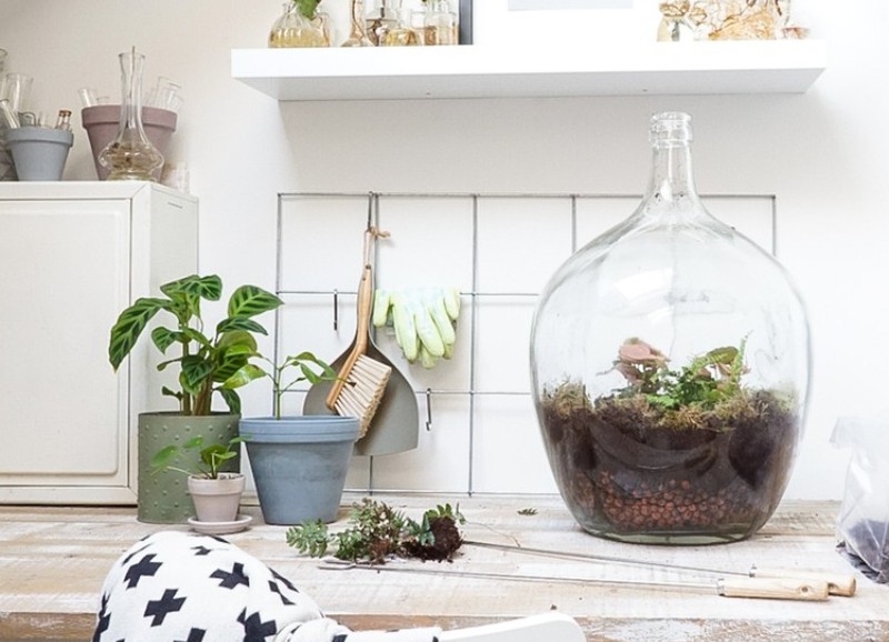 DIY: zo maak je je eigen planten terrarium