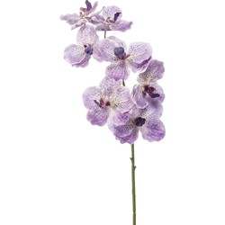 Emerald Kunstbloem Orchidee Vanda - 77 cm - paars/lila - losse tak - kunst zijdebloem - Kunstbloemen