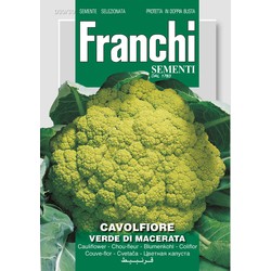 Bloemkool, Cavolfiore Verde de Macerata 30/30 - Franchi