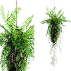 PTMD Leaves Plant hanging fern plant mix in cone shape