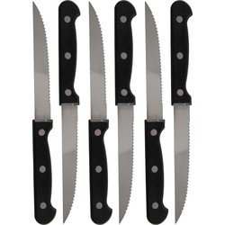 Set van 24x stuks steakmessen/vleesmessen bestek 21.5 cm - Messen