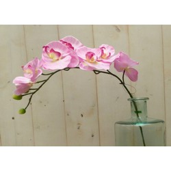 Kunstvlinderorchidee op steker roze - Warentuin Mix
