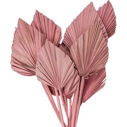 Clayre & Eef Droogbloemen  55 cm Roze Droogbloemen Droogboeket