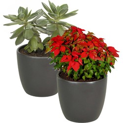 2x stuks bloempot mat antraciet grijs keramiek voor kamerplant H13.5 x D15.5 cm - Plantenpotten