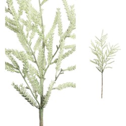 PTMD Twig Plant Mini Pijnboom Kunsttak - 49 x 31 x 98 cm - Lichtgroen