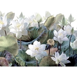 Sanders & Sanders fotobehang tropische bladeren en bloemen groen en wit - 3,6 x 2,7 m - 600977