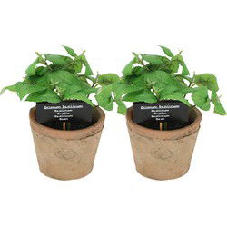 Esschert Design Kunstplant/kruiden basilicum - 2x - in oude terracotta pot - 18 cm - kruiden - Kunstplanten