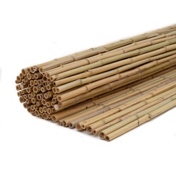 Bamboe rolscherm Dalian H180xL180 cm op rol Van Rees