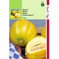 2 stuks - Meloenen Ogen - Hortitops