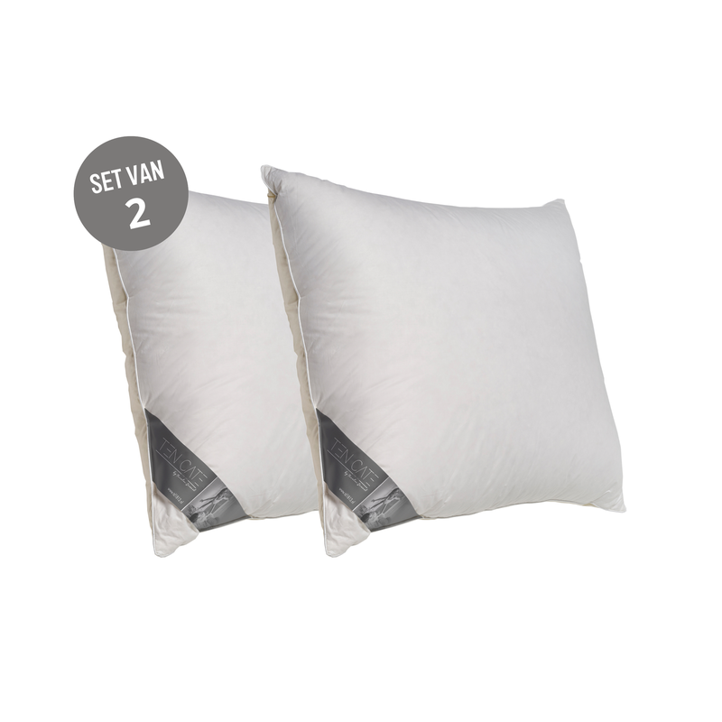 Ten Cate Double Face Eendendonzen Hoofdkussen 60x70 cm - 