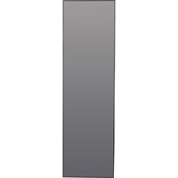 Light & Living - Spiegel 50x1,5x170 cm ZENETA smoke glas+zwart