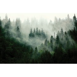 Sanders & Sanders fotobehang berglandschap met bomen groen - 3,75 x 2,7 m - 601167