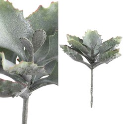 PTMD Succulent Kalanchoe Pluk Kunstplant - 13 x 14 x 20 cm - Groen