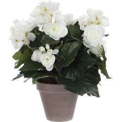 Mica Decoration Kunstplant - begonia - wit - in grijze pot - 30 cm - Kunstplanten