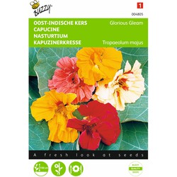 2 stuks - Samen Tropaeolum nasturtium Glorious Gleam - Buzzy