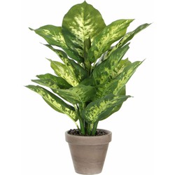 Mica Decorations Kunstplant Dieffenbachia - groen - 40 cm - Kunstplanten