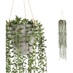 PTMD Senecio Succulent Hangende Kunstplant - H80 x Ø17 cm - Groen