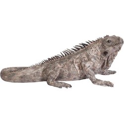 Kare Decofiguur Iguana 135 cm