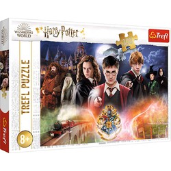 Trefl Trefl Trefl 300 - The Secret Harry Potter / Warner Harry Potter
